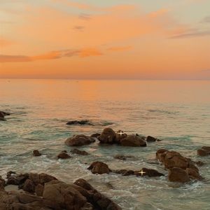 Meet your Posher, Lilly-sue